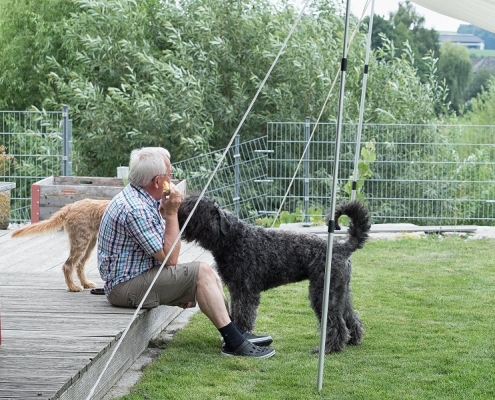 Tierarztpraxis Putzleinsdorf - Hundezucht Vlaamse